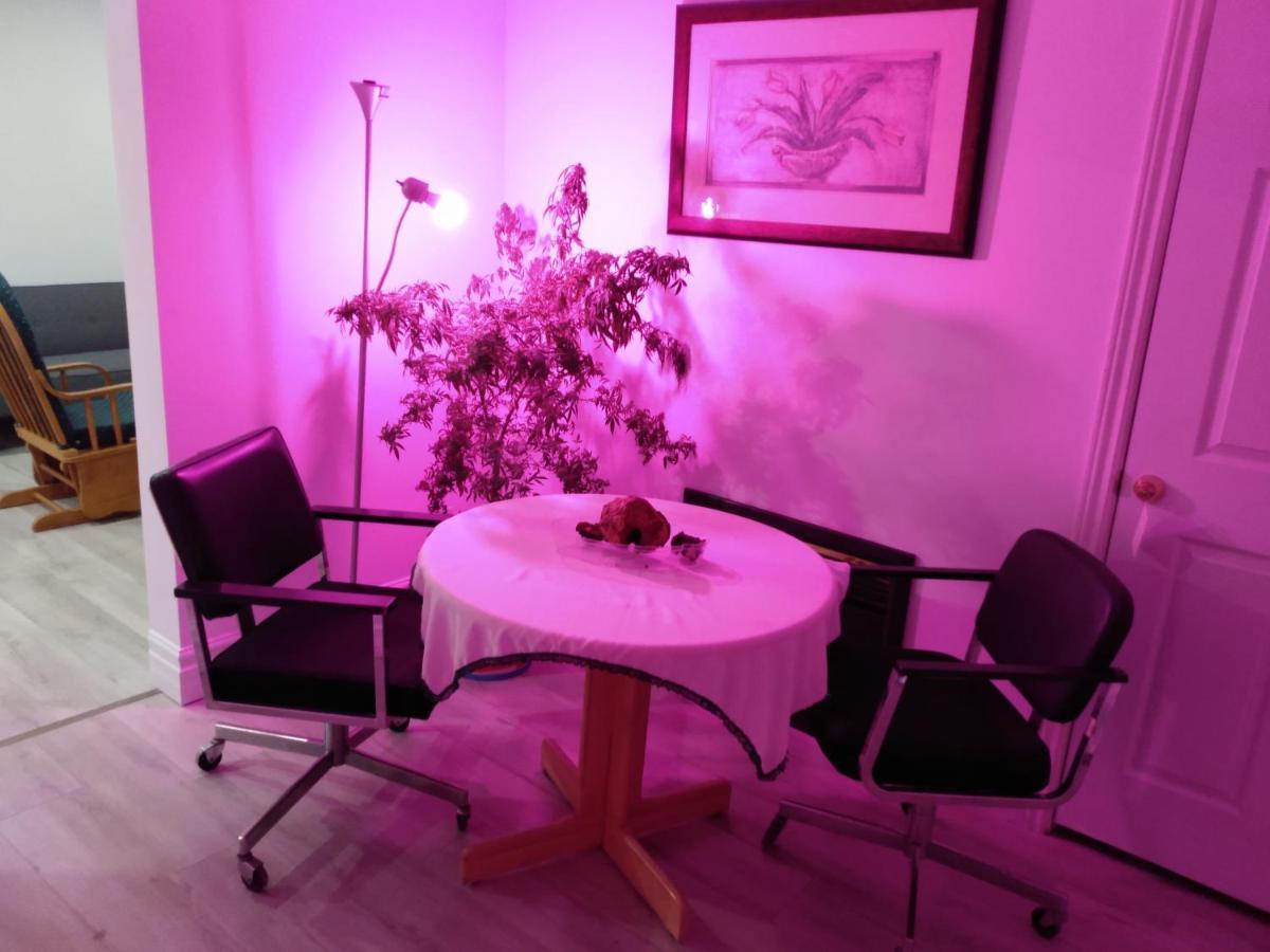 Healing Touch Holistic Living Space แอเมิร์สท์ ภายนอก รูปภาพ